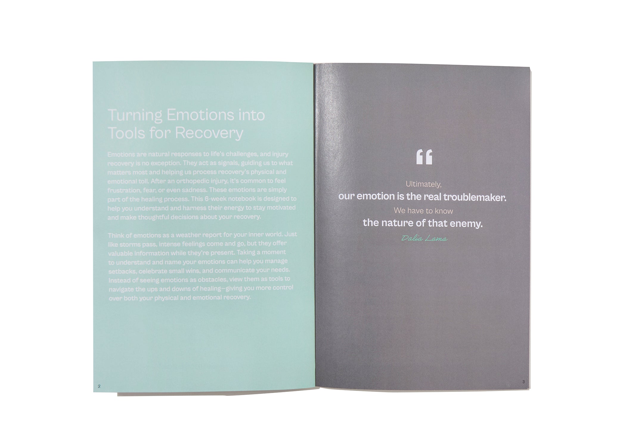 Navigate Emotions