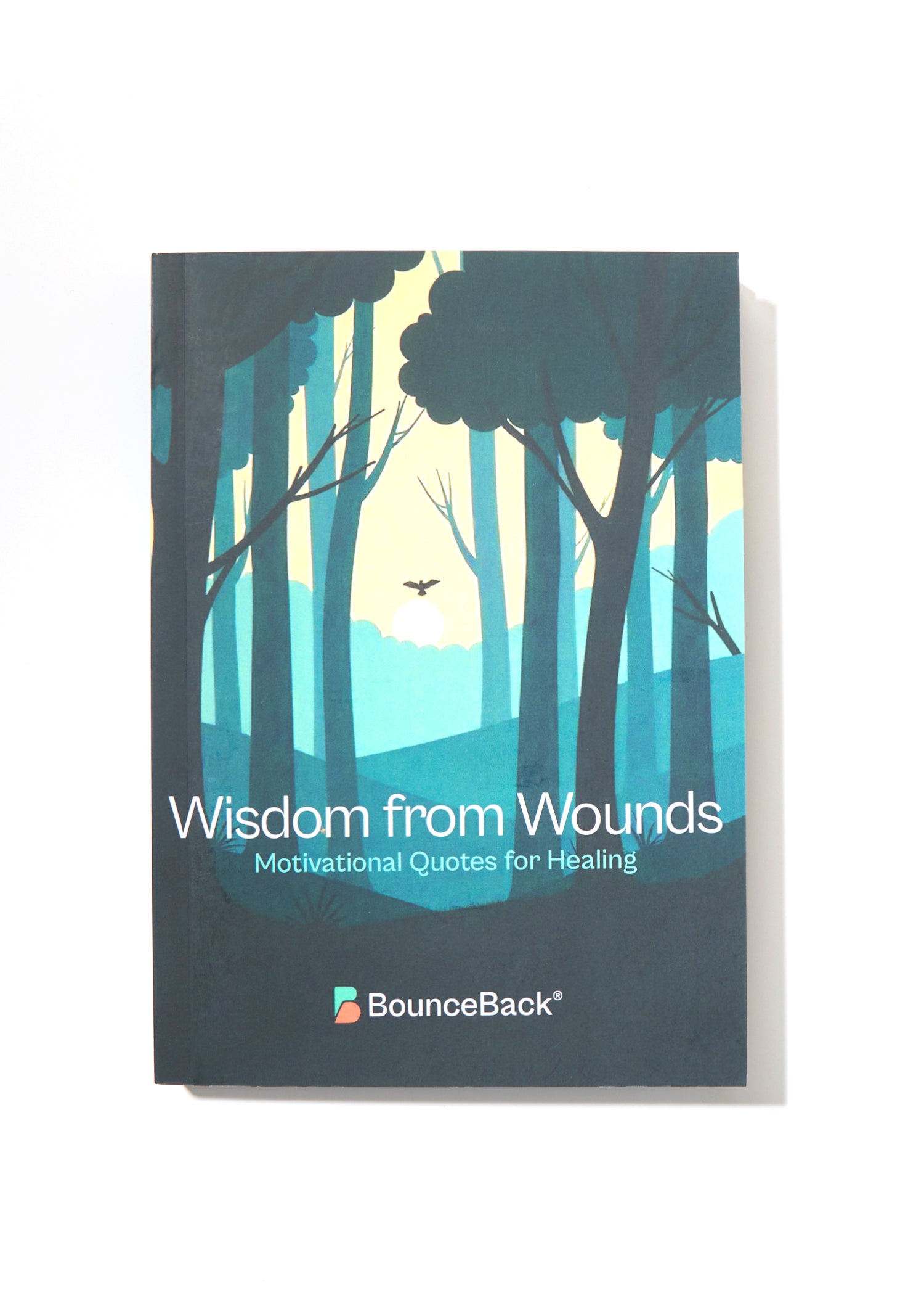 Wisdom From Wounds